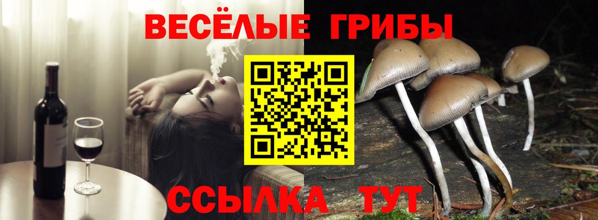 Галлюциногенные грибы MAGIC MUSHROOMS Зерноград