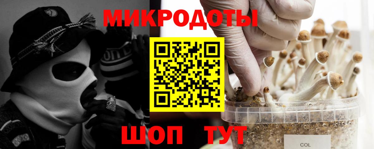 Галлюциногенные грибы Cubensis  Вход с VPN  Зерноград  Псилоцибиновые грибы Psilocybe 
